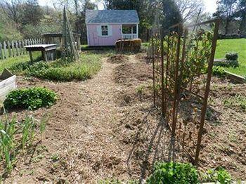 High Meadows Vineyard Inn Scottsville Esterno foto